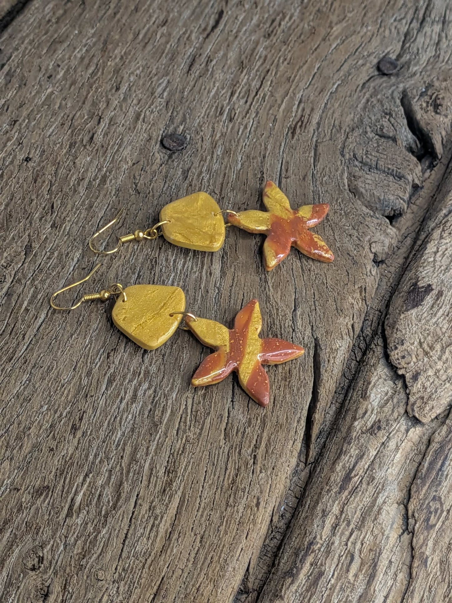 Boucles d' Oreilles #25